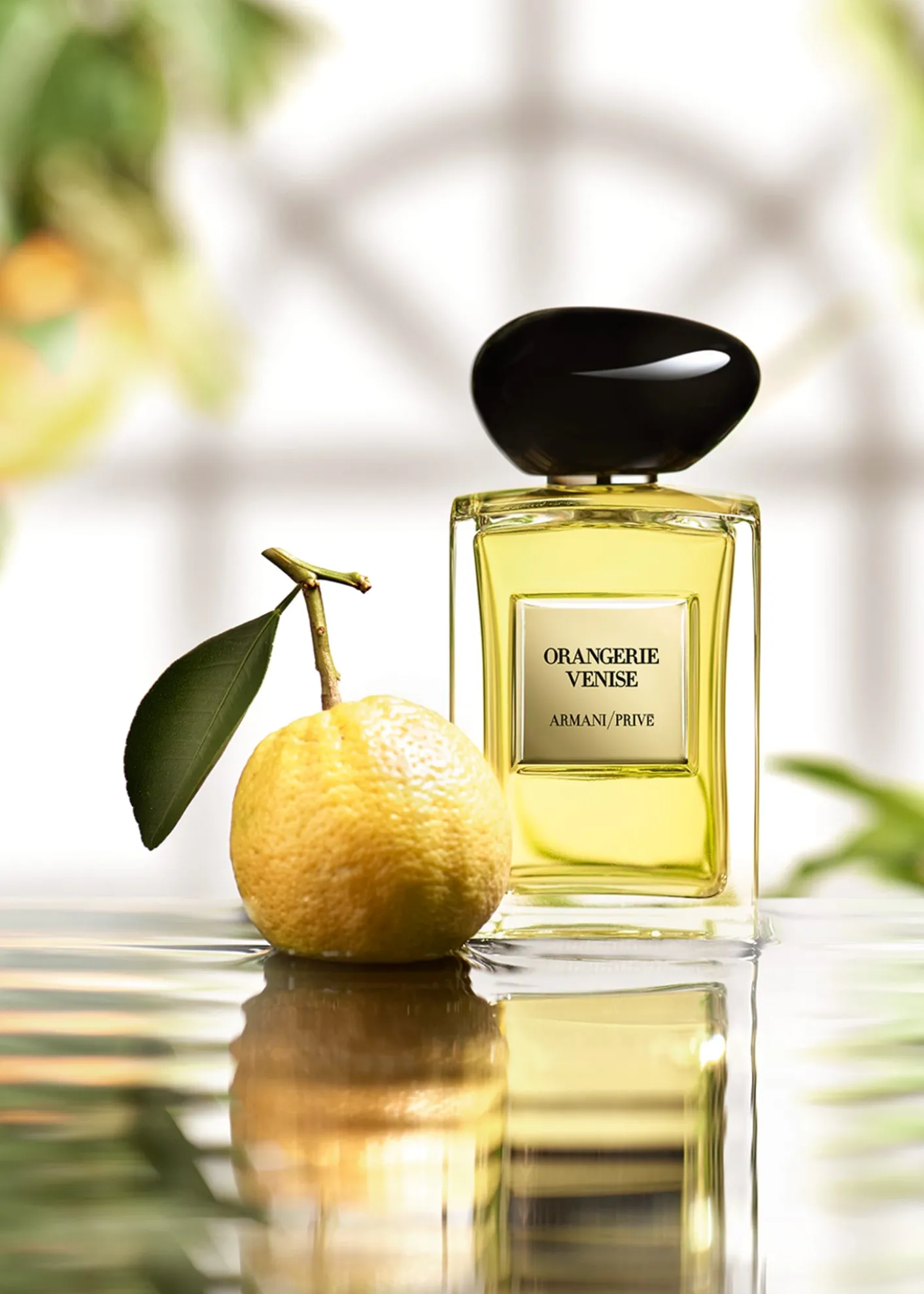 ARMANI beautyOrangerie Venise, 3.4 oz.