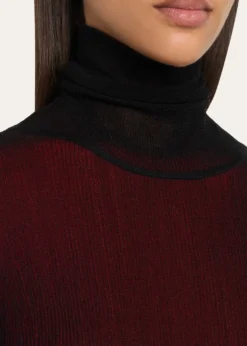 ASHLYNMeritt Ruffle Sheer Rib Turtleneck Sweater