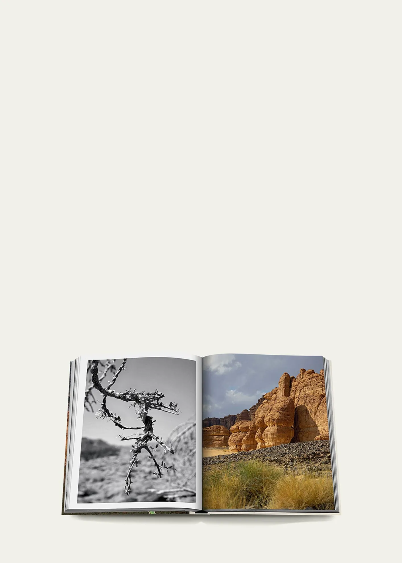 Assouline"AlUla Flora: A Botanical Treasure" Book by Abdulaziz Assaeed