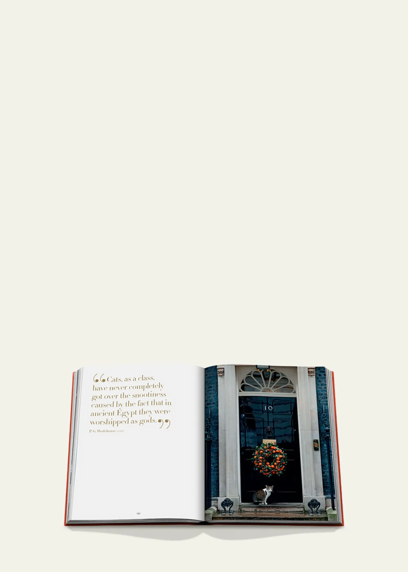 Assouline"Chic Cats" Book by Brett Martin