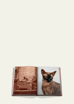 Assouline