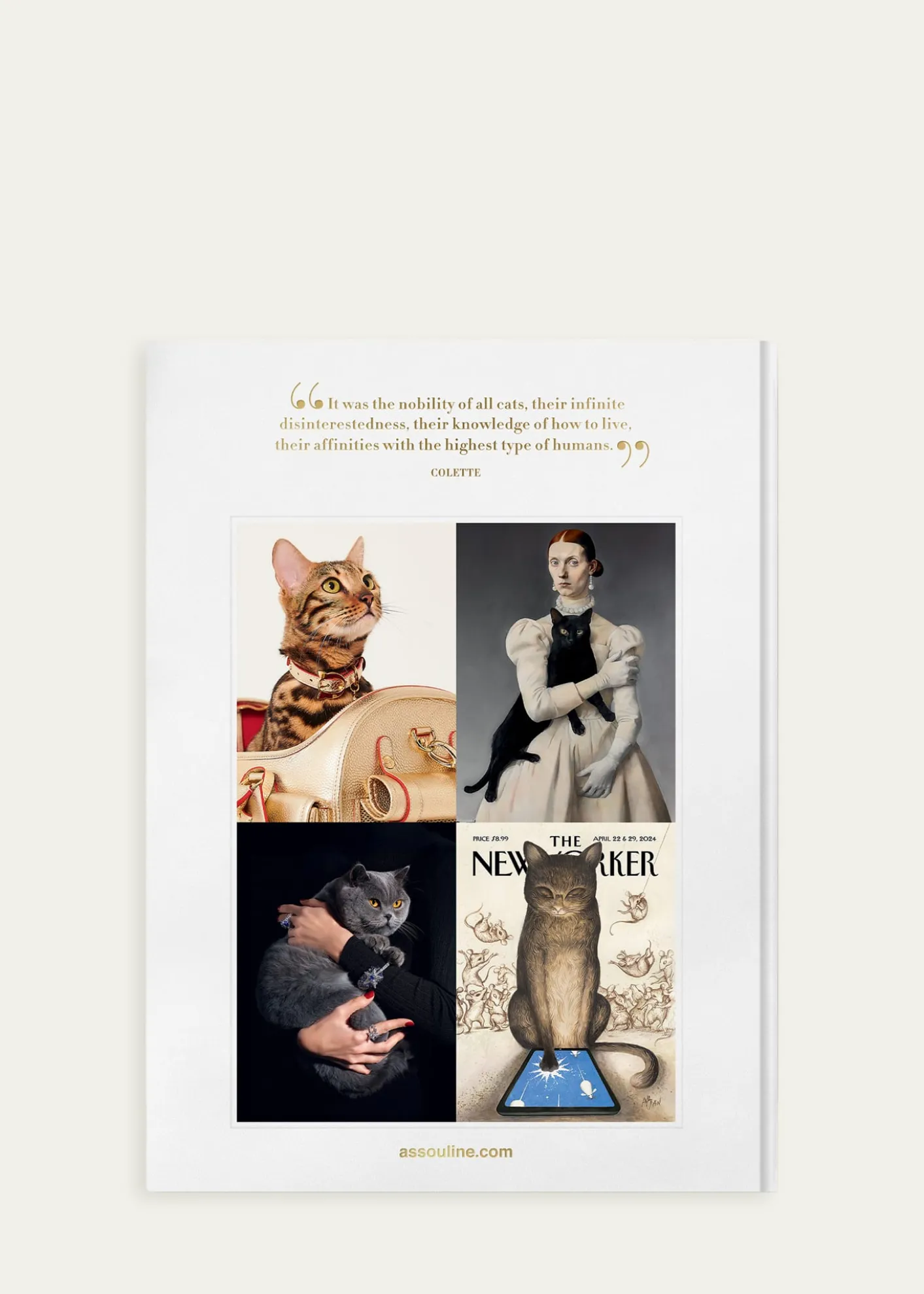 Assouline"Chic Cats" Book by Brett Martin