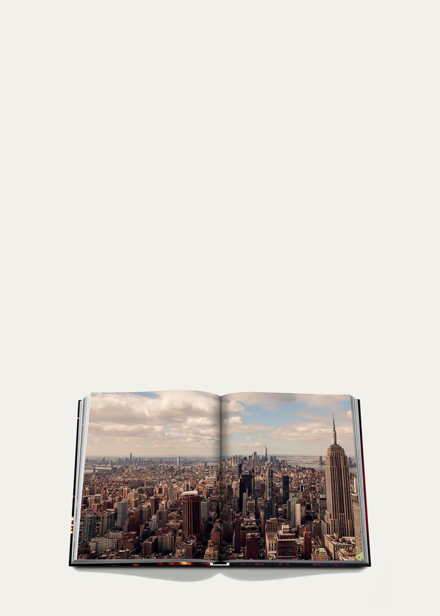 Assouline"New York Chic" Book