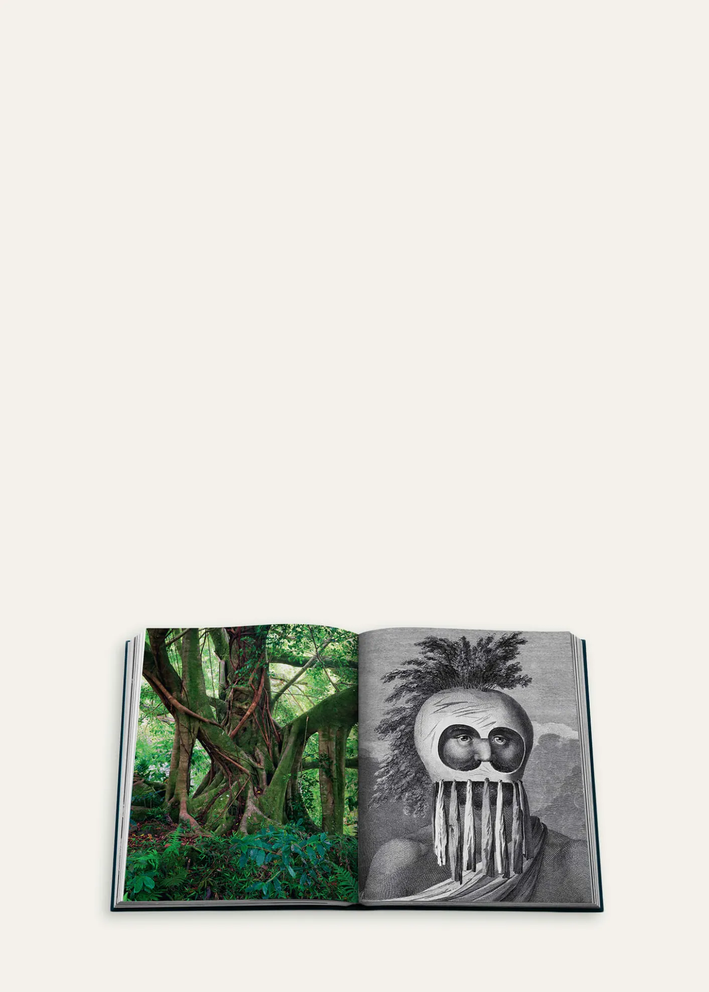 Assouline"Pacific Islands: James Cook Voyages" Book by Nicholas Thomas