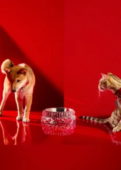 BaccaratLouxor Crystal Pet Bowl, Large