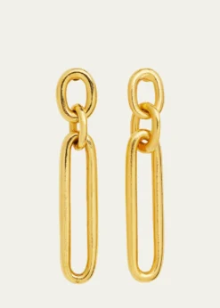 Ben-AmunLink Dangle Earrings