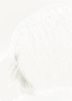 Bottega VenetaNappa Leather & Feather Clutch Bag