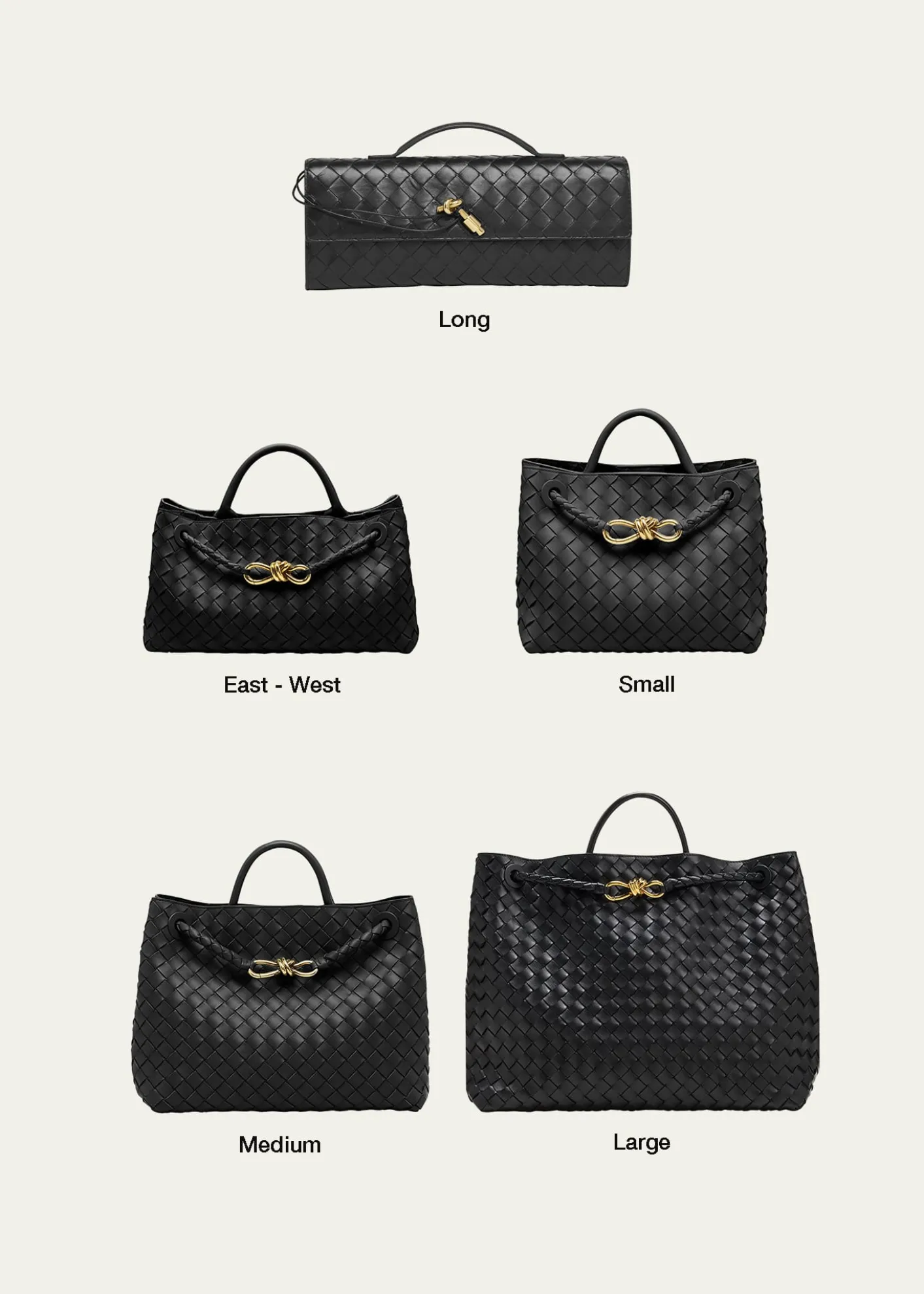 Bottega VenetaSmall East-West Andiamo Bag