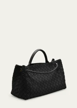 Bottega VenetaSmall East-West Andiamo Bag