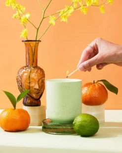 CaftariElixir Candle, 10.5 oz.