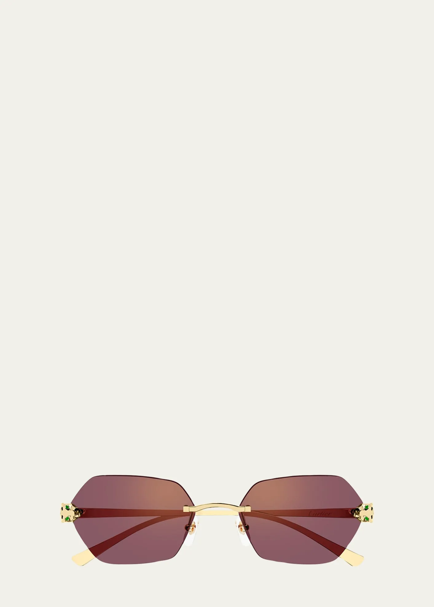 CartierPanthère de Cartier 55mm Geometric Sunglasses