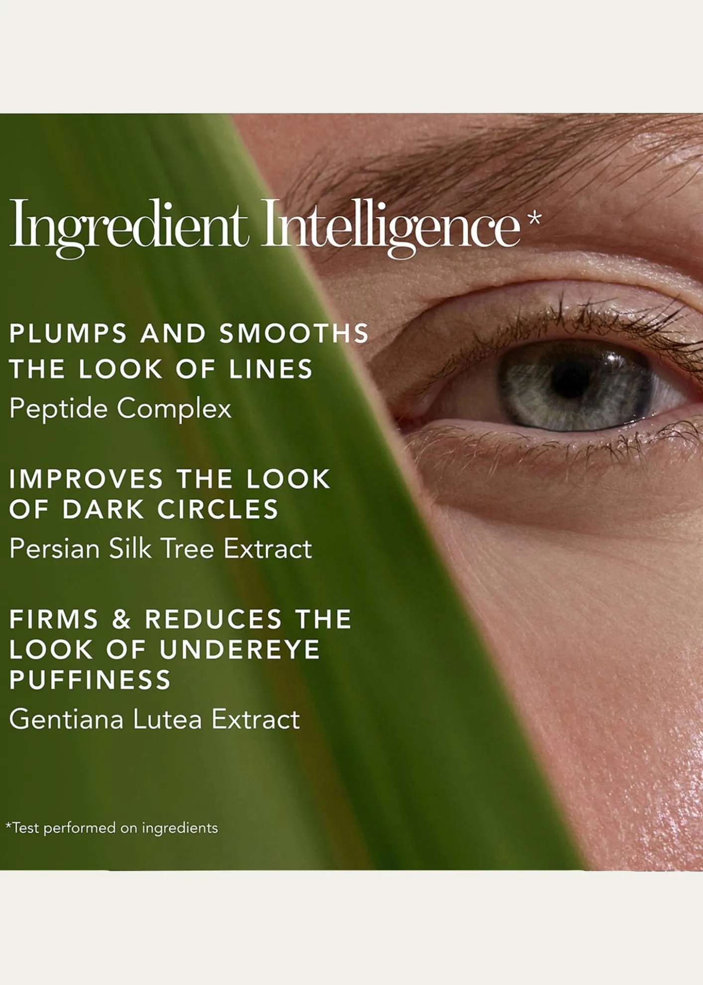 ChantecailleBio Lifting Concealer with Peptides