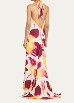 Diane von FurstenbergTamsin Backless Floral-Print Halter Maxi Dress