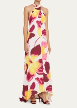 Diane von FurstenbergTamsin Backless Floral-Print Halter Maxi Dress