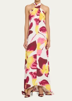 Diane von FurstenbergTamsin Backless Floral-Print Halter Maxi Dress