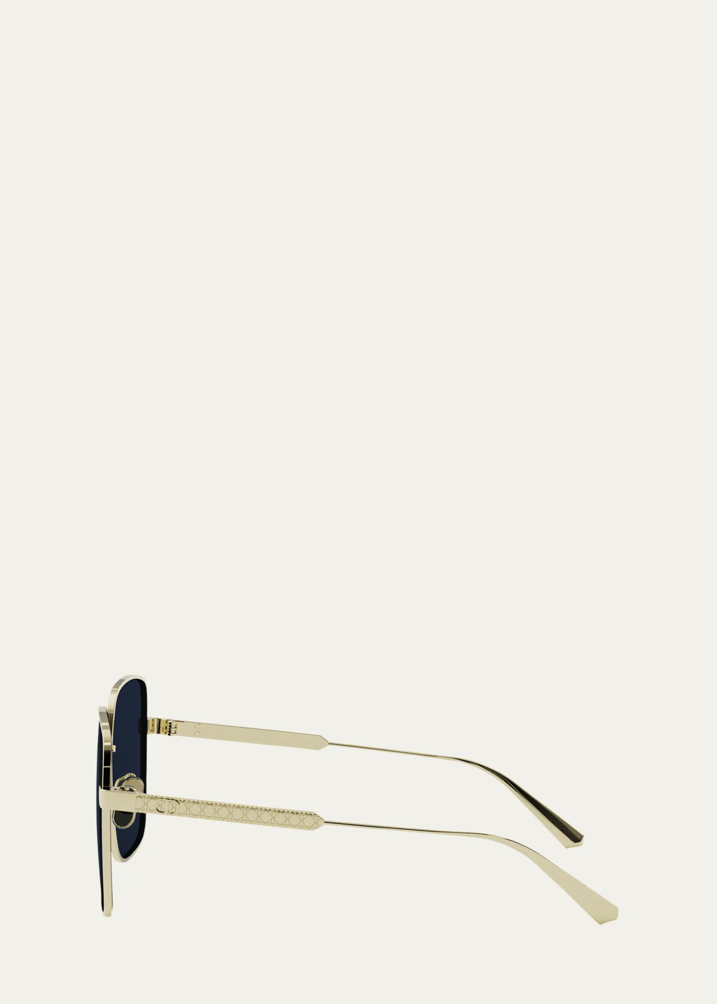 Dior DiorCannage S1U Sunglasses