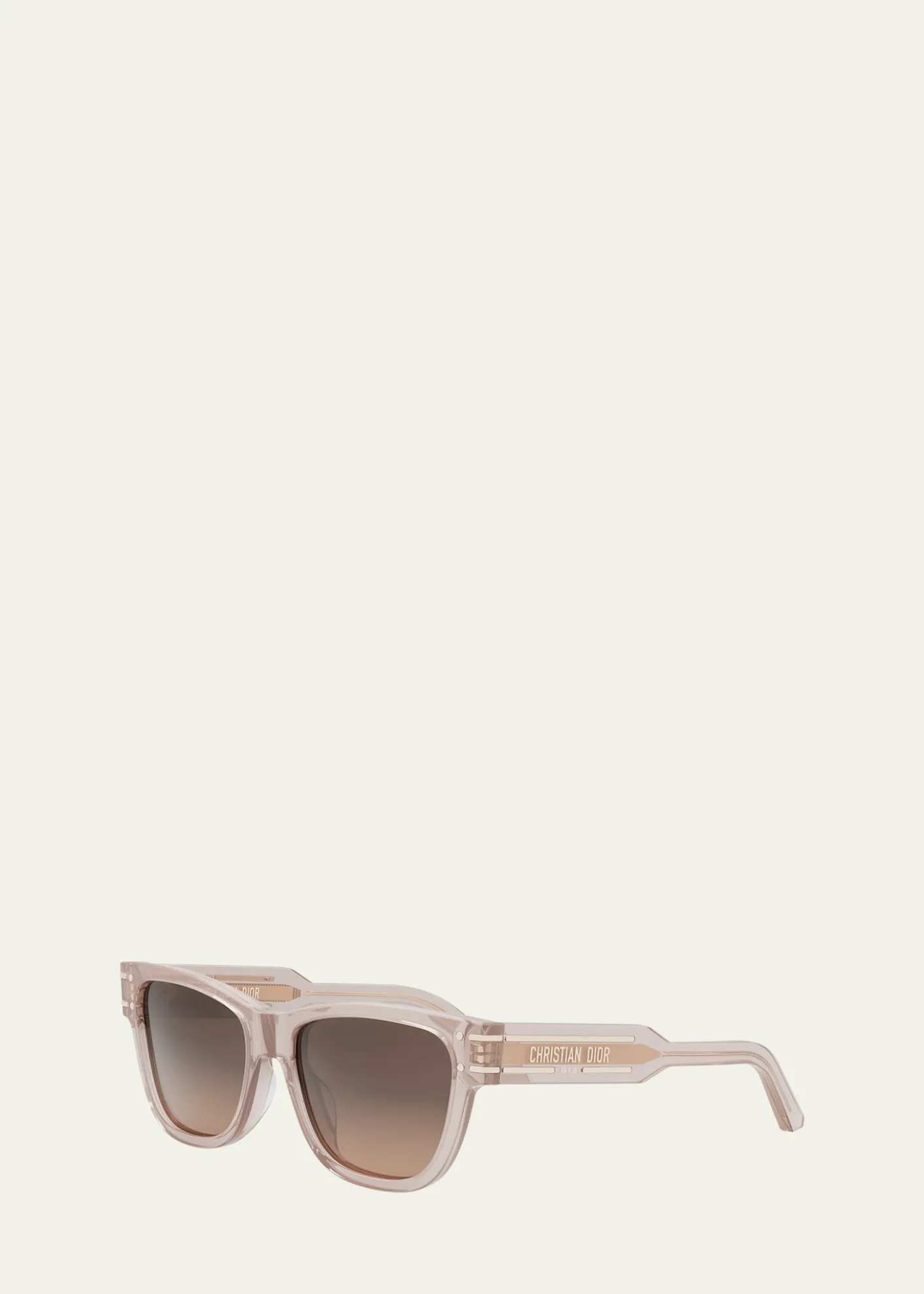 DiorDiorSignature S6U Sunglasses