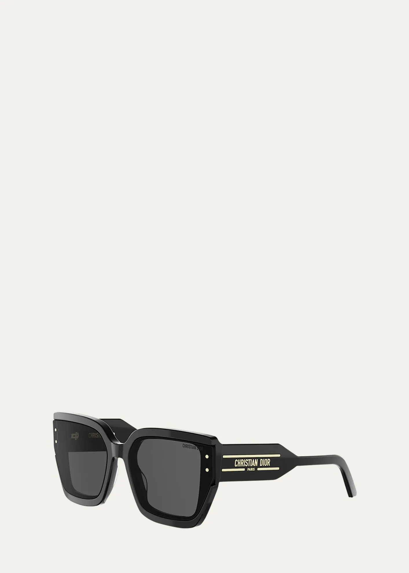 DiorDiorSignature S14I Sunglasses
