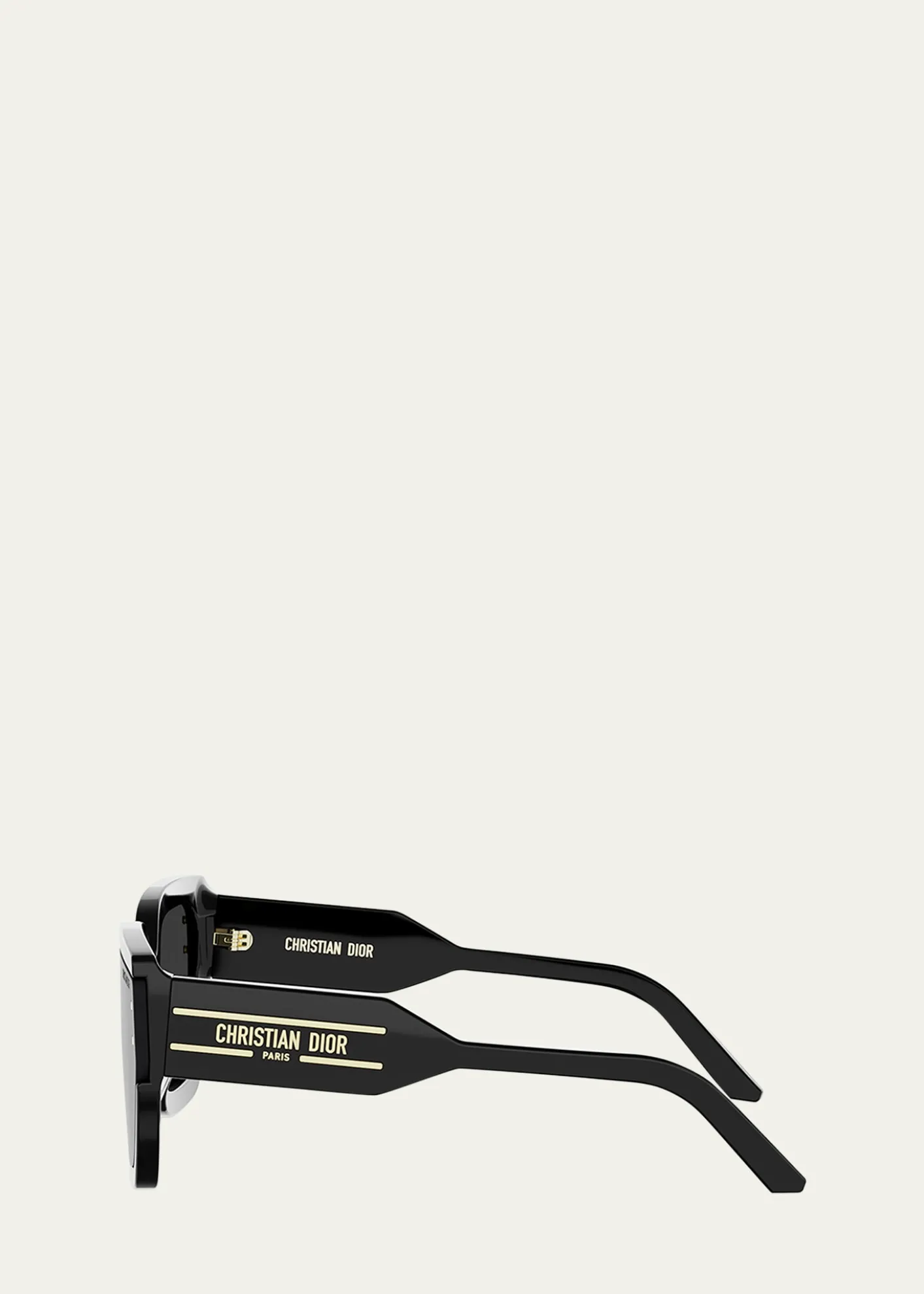 DiorDiorSignature S14I Sunglasses