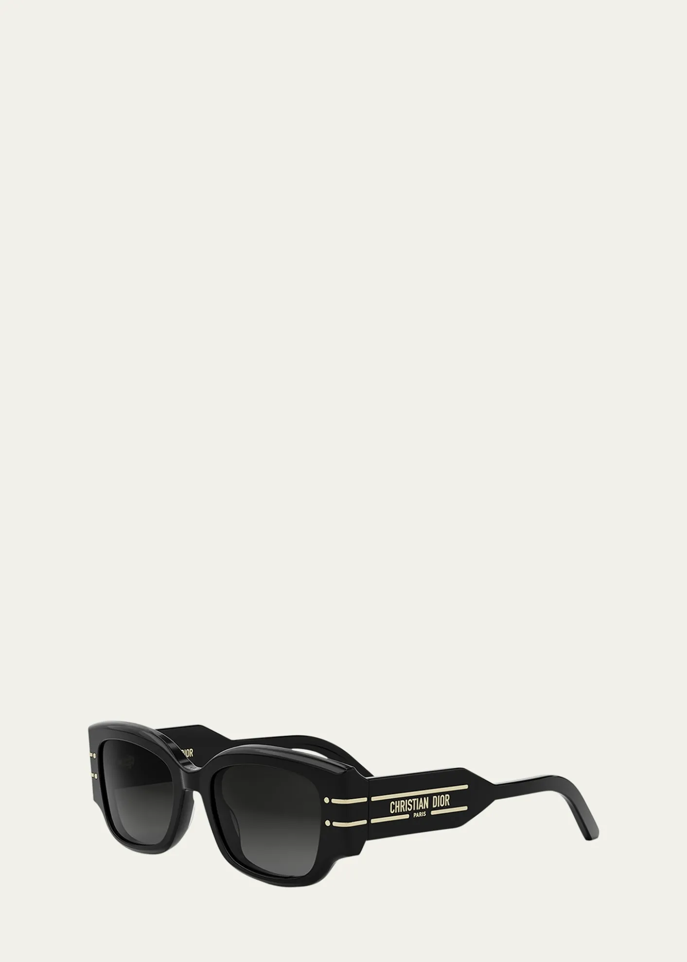 DiorDiorSignature S13I Sunglasses