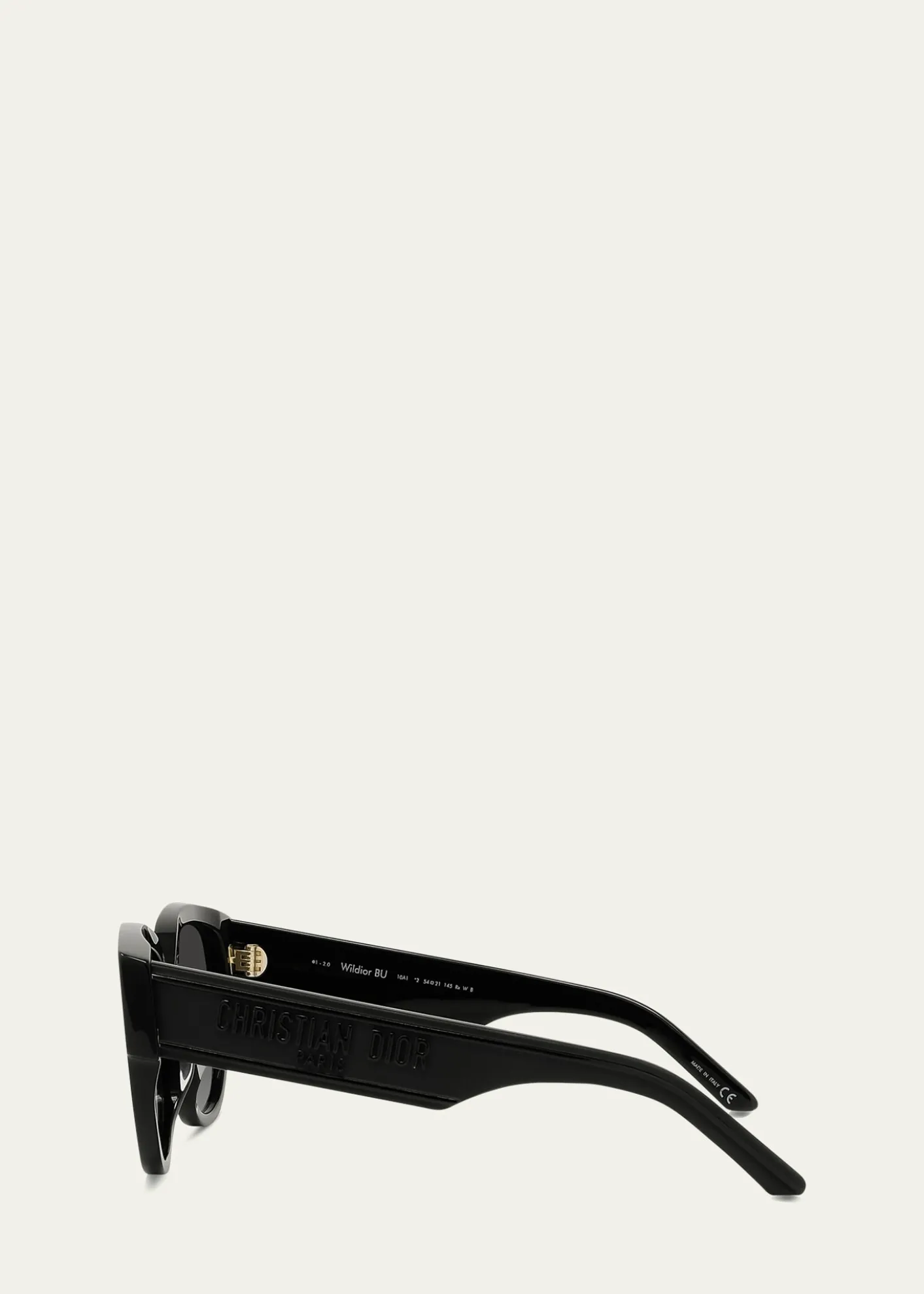 DiorWildior BU Sunglasses