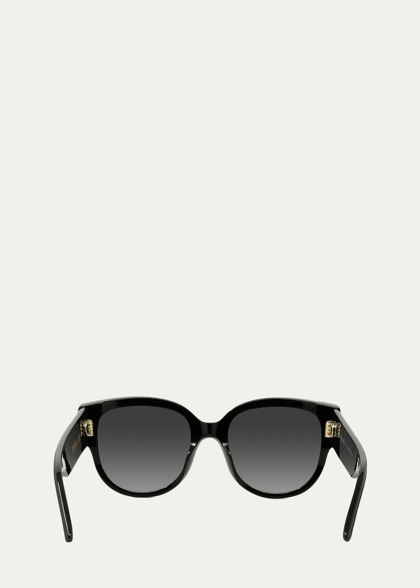DiorWildior BU Sunglasses
