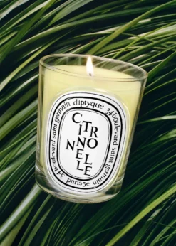 DIPTYQUECitronnelle Classic Candle, 6.5 oz.