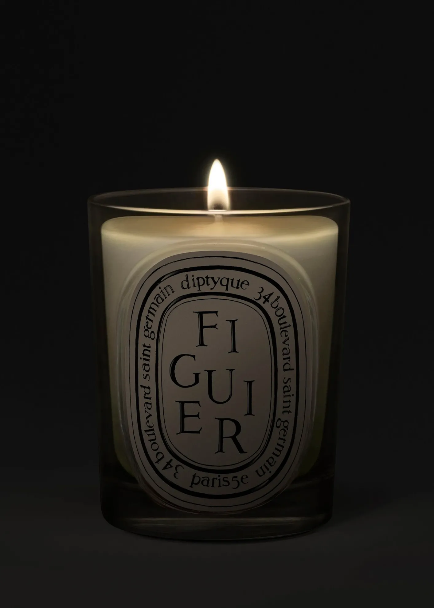 DIPTYQUEFiguier (Fig Tree) Classic Candle, 6.7 oz.