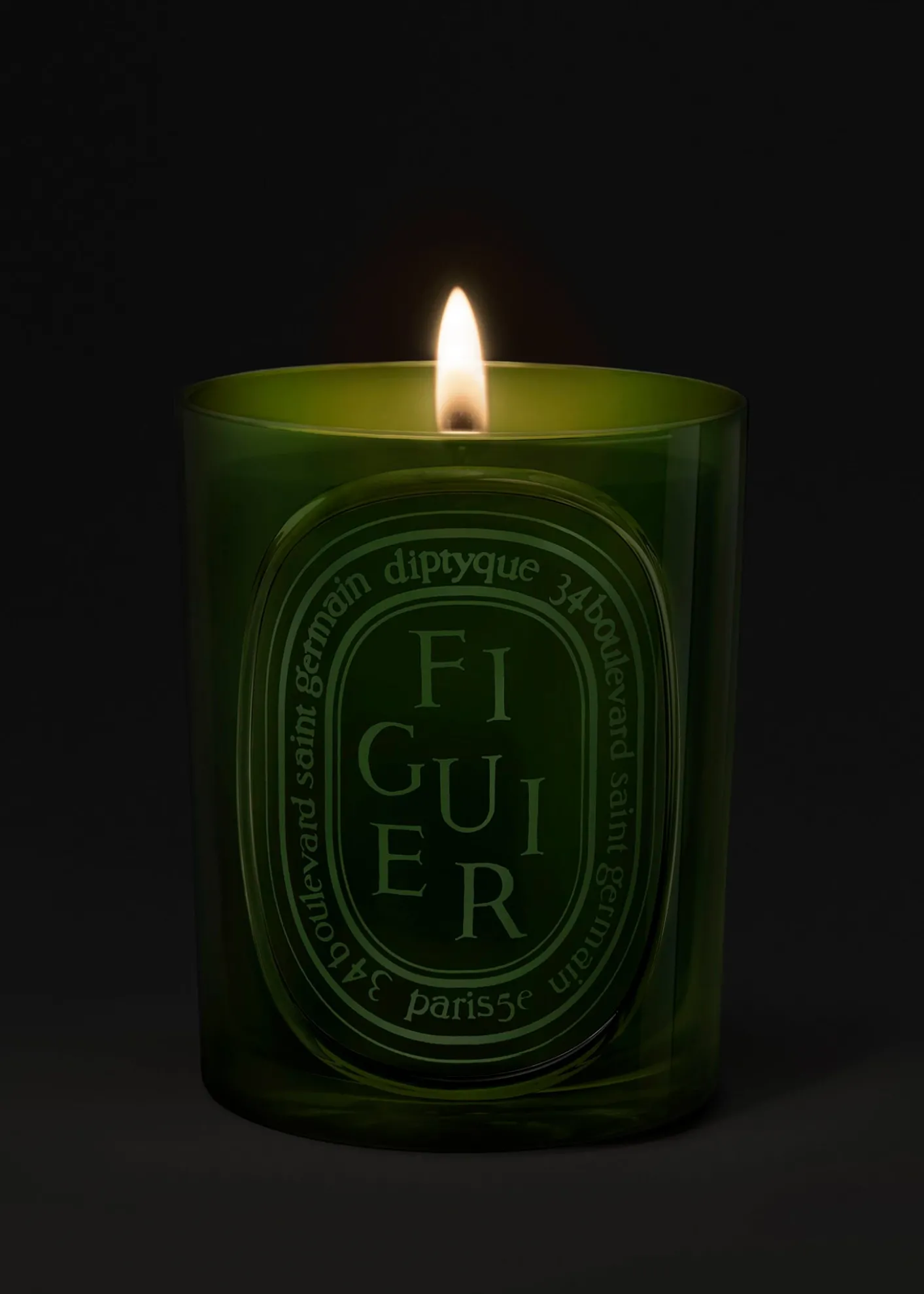 DIPTYQUEFiguier (Fig Tree) Medium Candle, 10.6 oz.