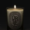 DIPTYQUEOrtie (Nettle) Classic Candle, 6.7 oz.
