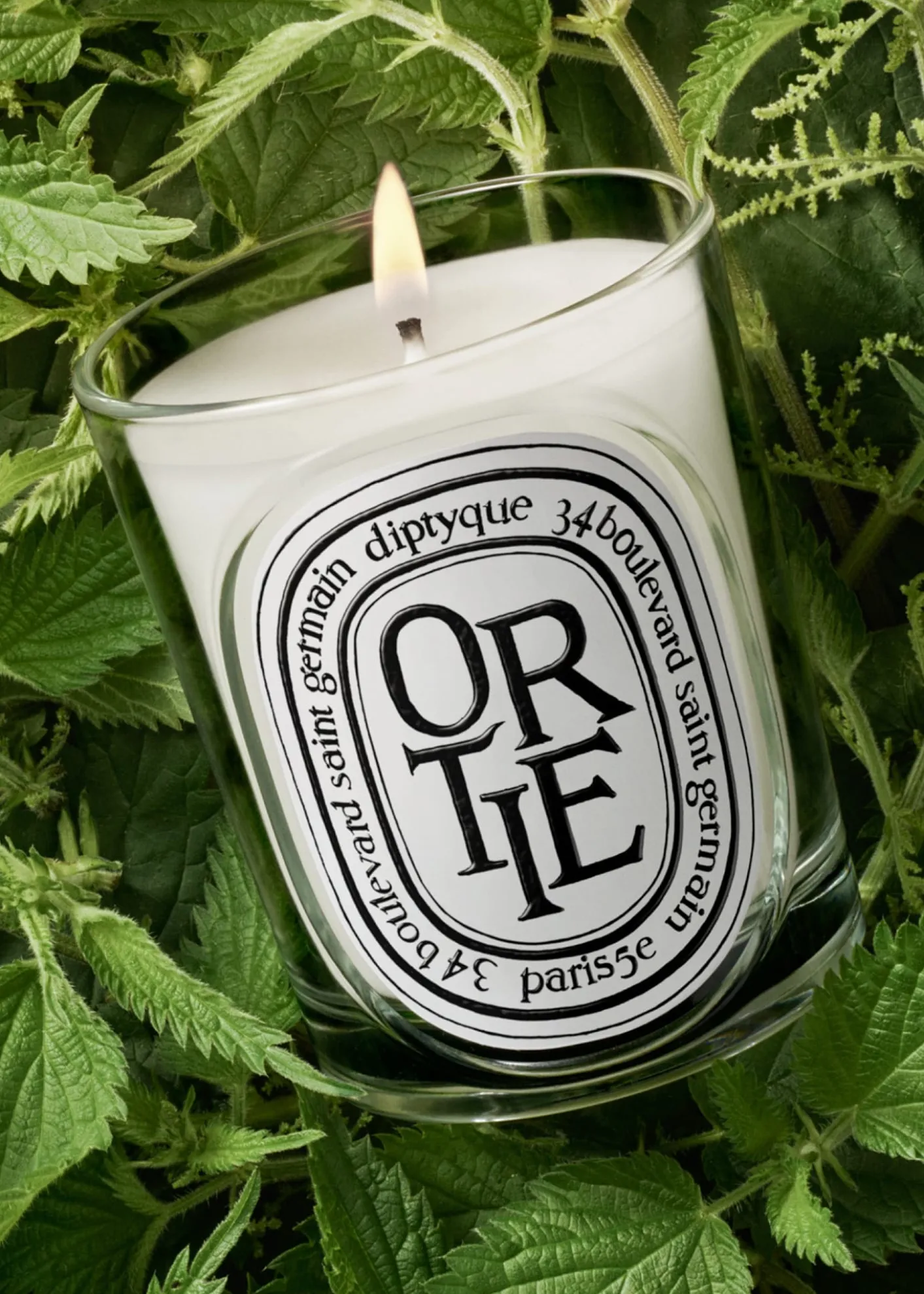 DIPTYQUEOrtie (Nettle) Classic Candle, 6.7 oz.