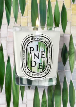 DIPTYQUEPinède Classic Candle, 6.5 oz.