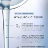 Dr. Barbara SturmHyaluronic Serum, 3.4 oz.