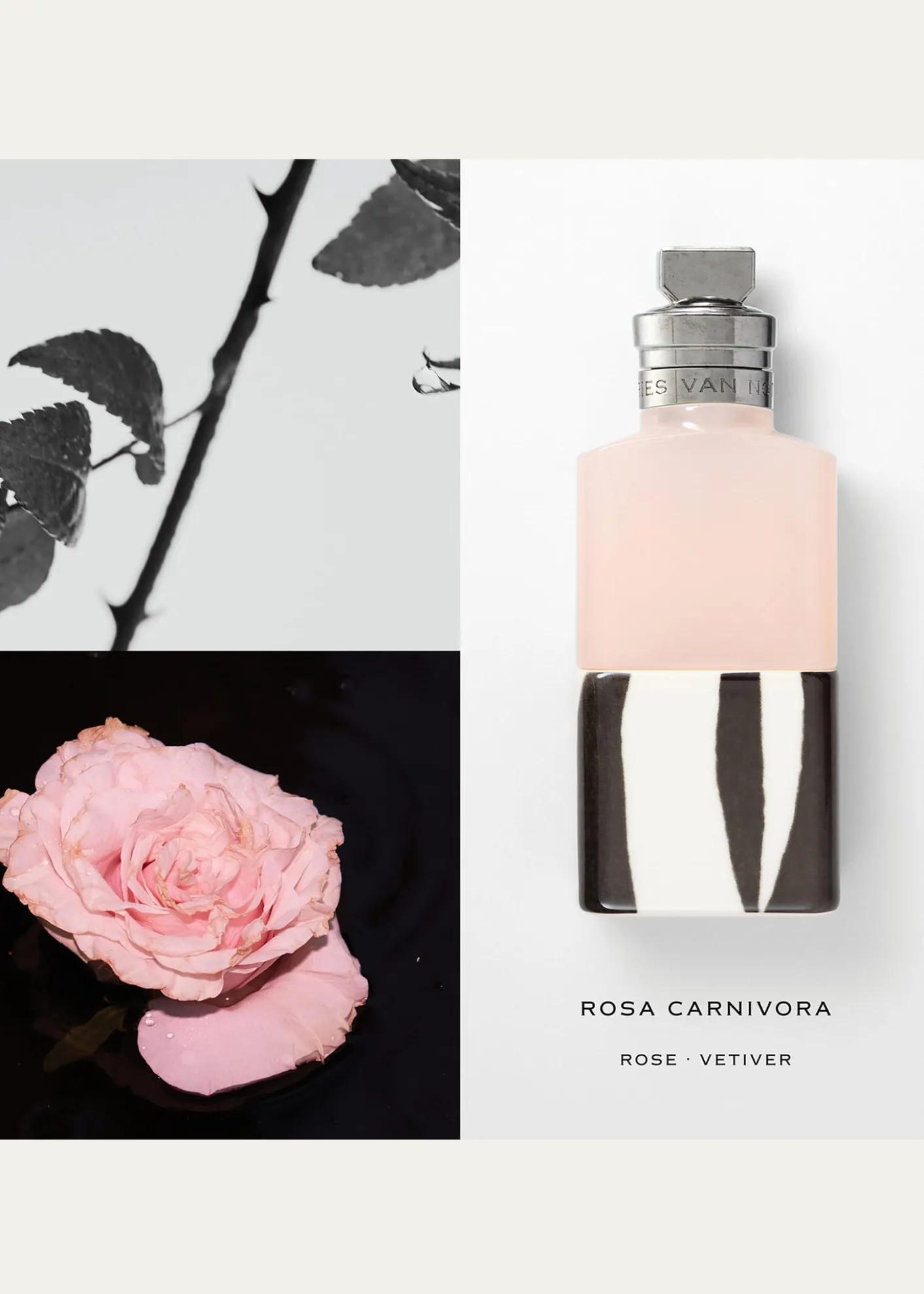 Dries Van NotenRosa Carnivora Eau de Parfum, 3.4 oz.