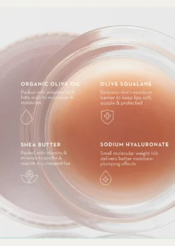 Furtuna Skin Olive Lip Butter Balm, 0.3 oz.