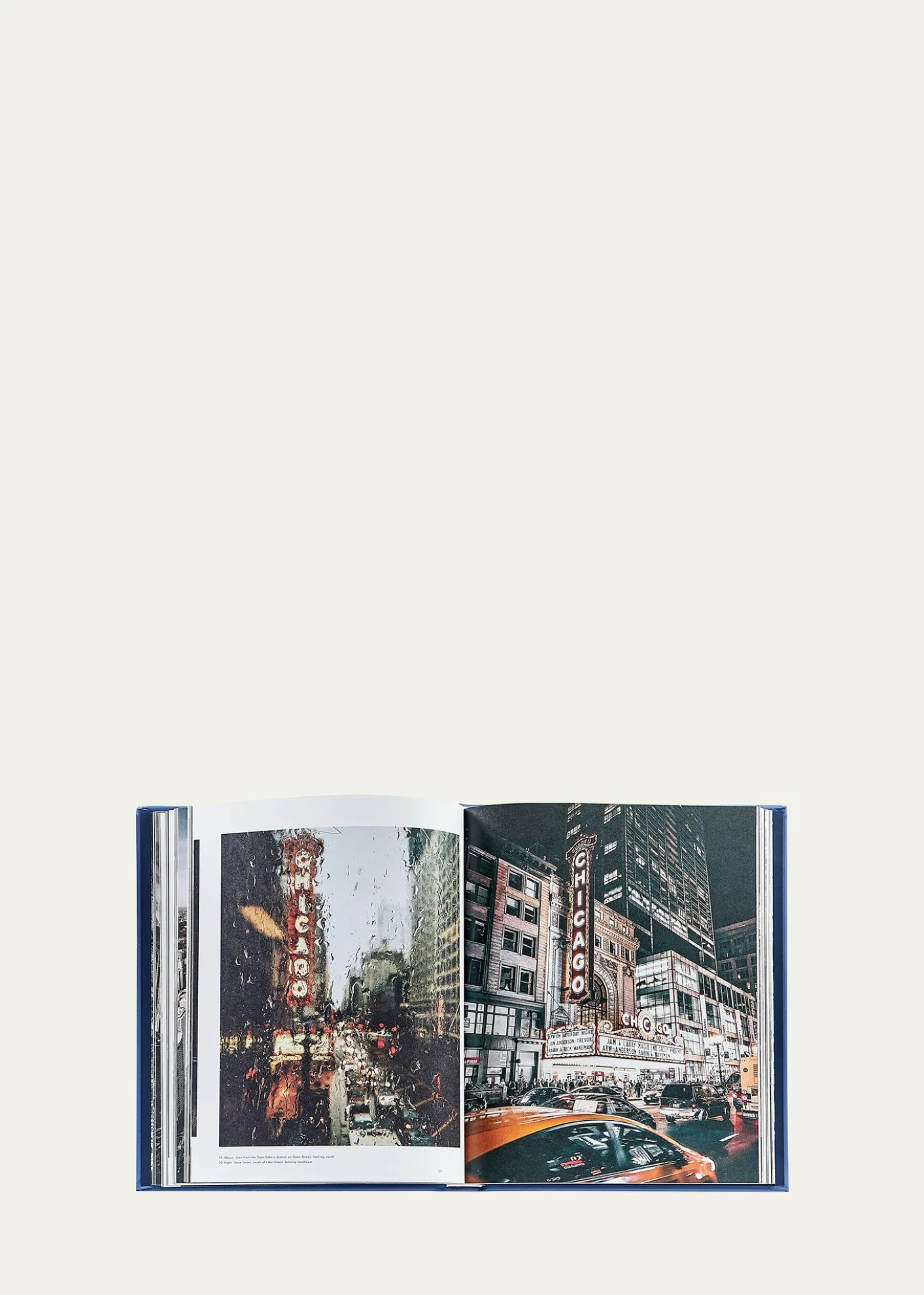 Graphic Image"Trope Chicago" Leather-Bound Book by Sam Landers & Tom Maday