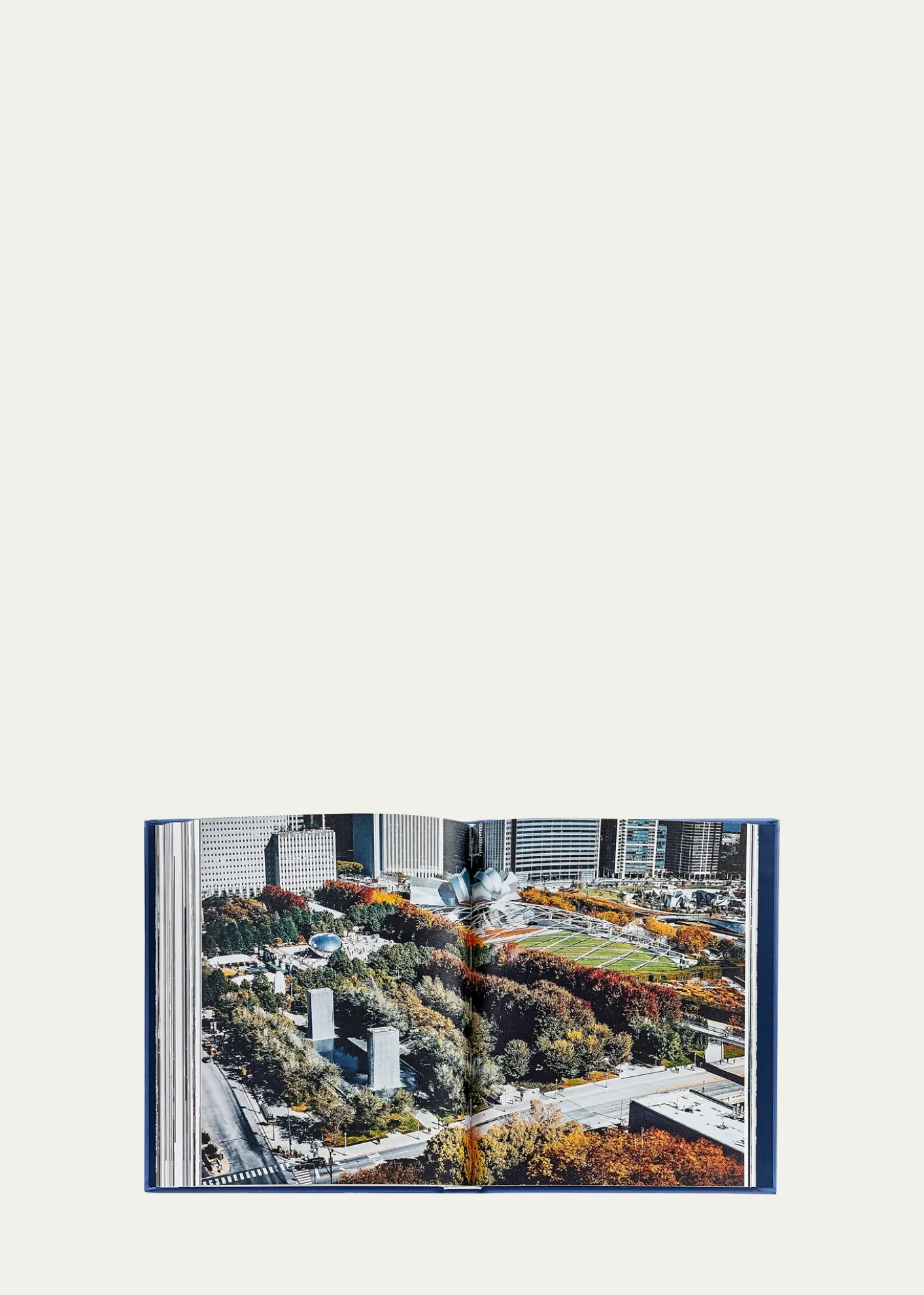 Graphic Image"Trope Chicago" Leather-Bound Book by Sam Landers & Tom Maday
