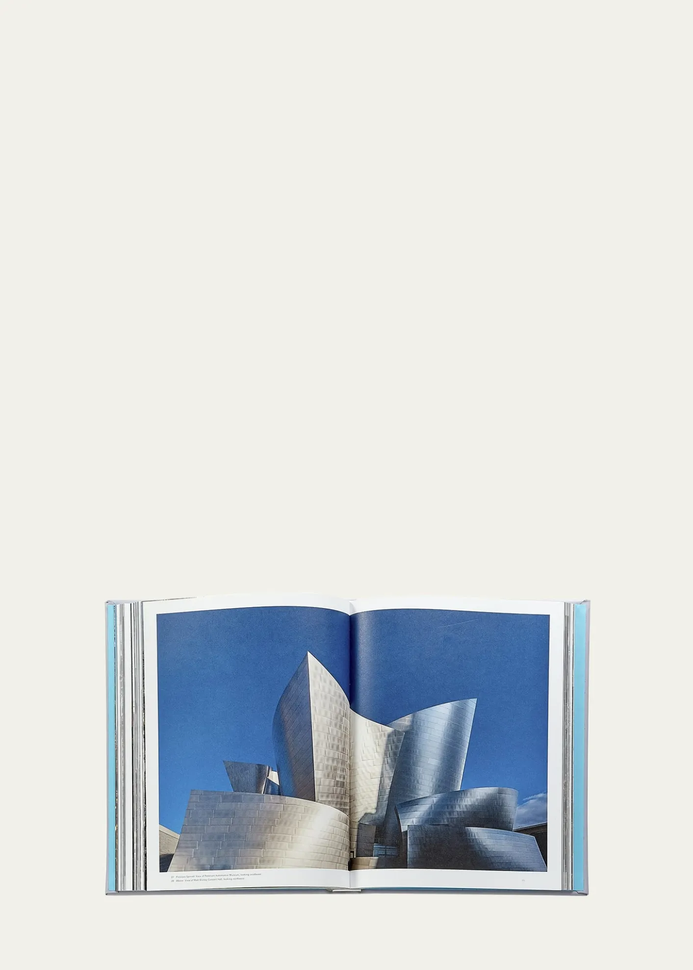 Graphic Image"Trope Los Angeles" Leather-Bound Book, Edited by Sam Landers & Michelle Fitzgerald