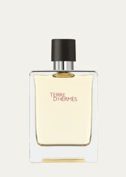 HermesTerre d'Hermes Eau de Toilette, 3.3 oz.