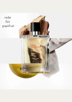 HermesTerre d'Hermes Eau de Toilette, 3.3 oz.