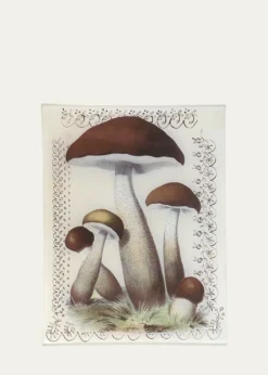 John DerianMushroom With Lace Rectangular Tray