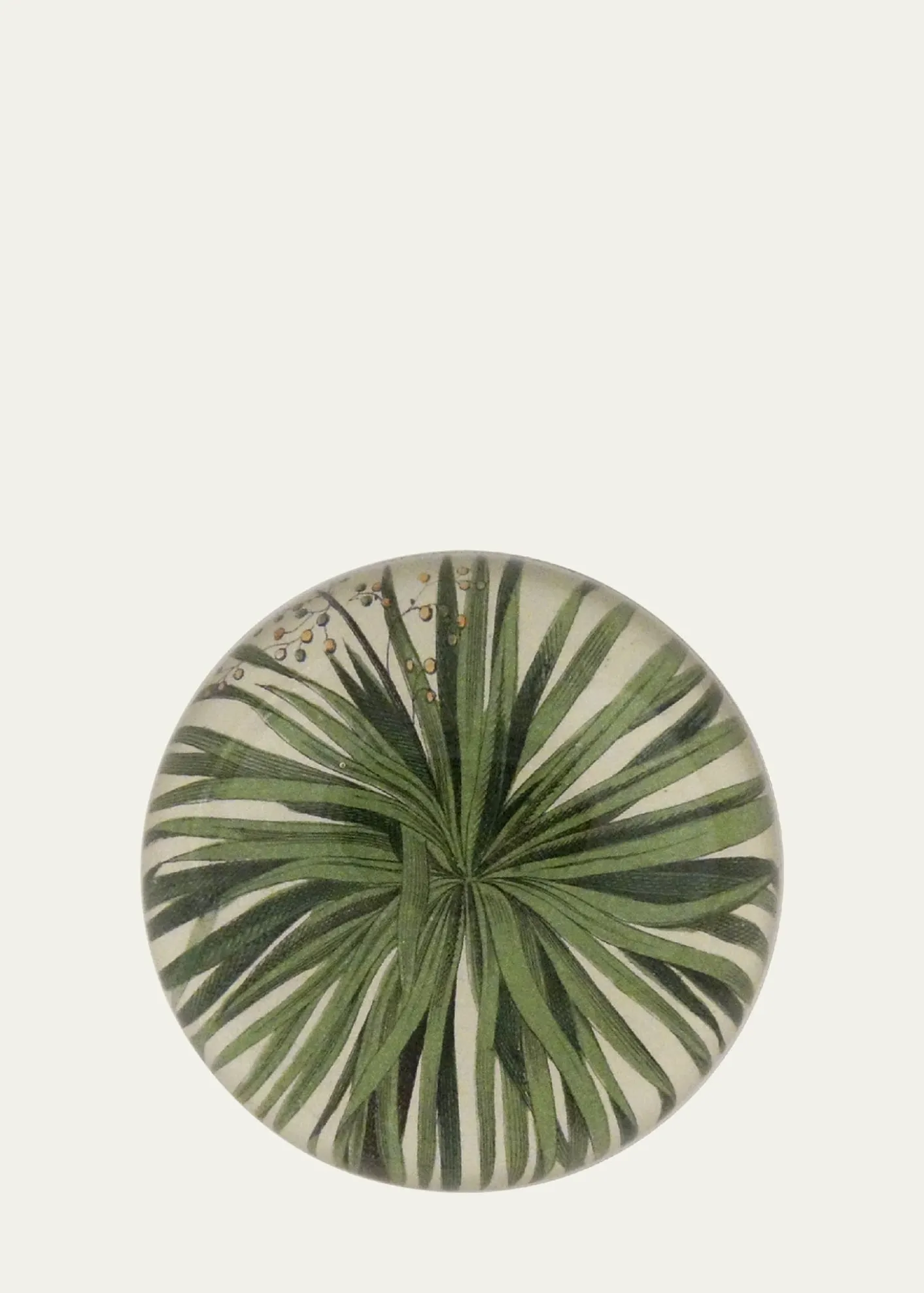 John DerianPalm Detail Dome Paperweight