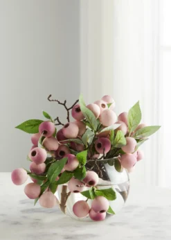John-Richard CollectionBalausta Berries 8