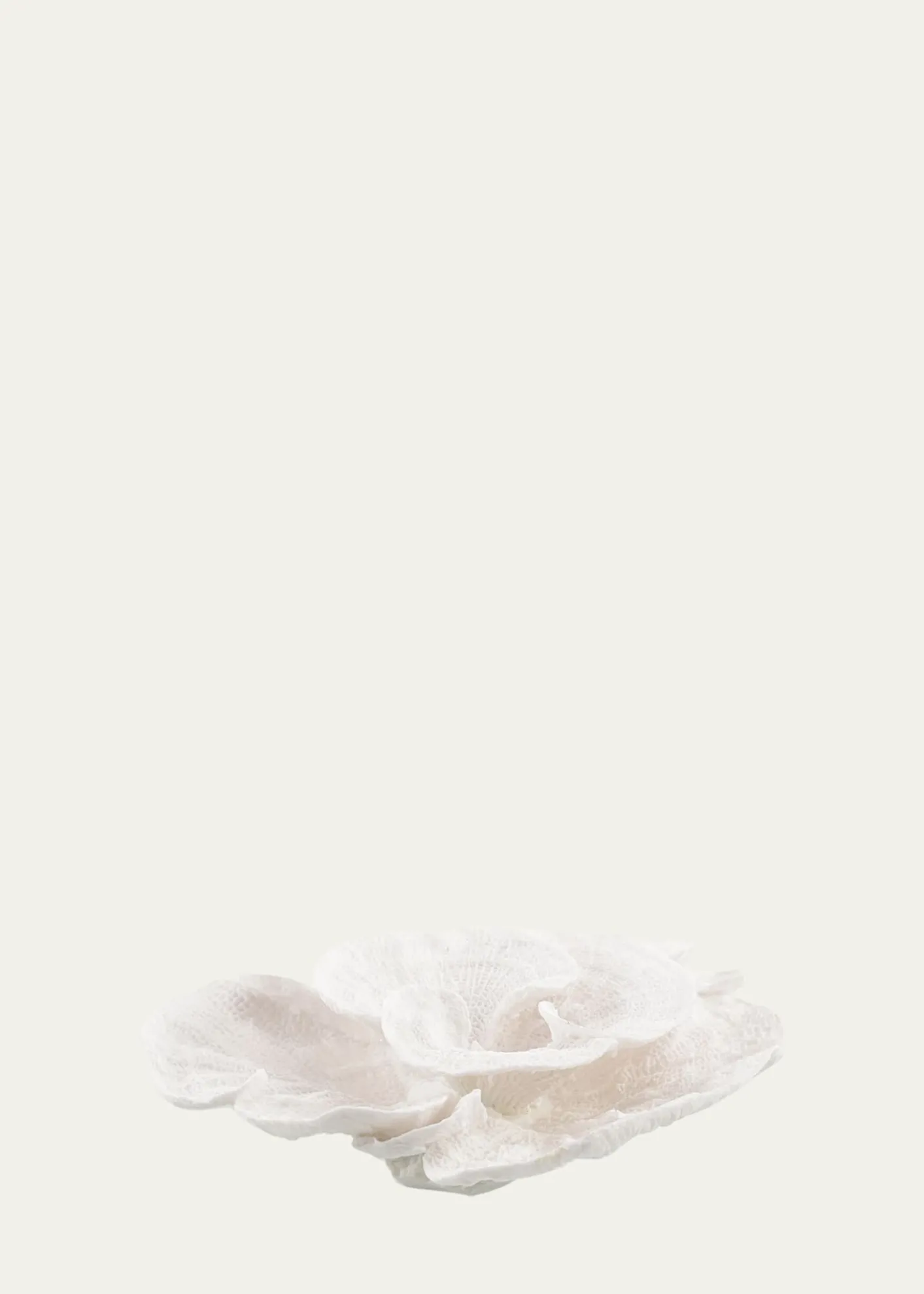 John-Richard CollectionFoliose Coral