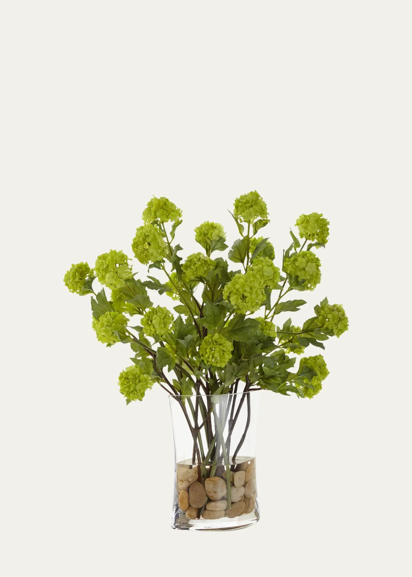 John-Richard CollectionVibrant Viburnum