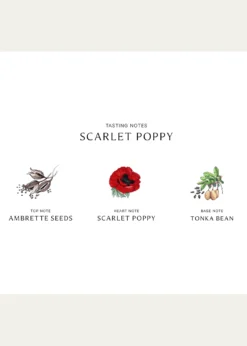 Jo Malone LondonScarlet Poppy Cologne Intense, 1.7 oz.