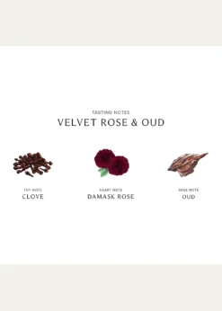 Jo Malone LondonVelvet Rose and Oud Cologne Intense, 1.7 oz.