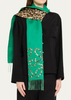 LoeweAnagram Leopard-Print Cashmere Scarf