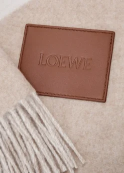 LoeweAnagram Wool/Cashmere Blanket, 55