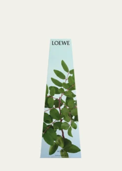 LoeweLOEWE Incense Wax Candleholder, 330 g